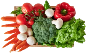 Nutrition Deficiency